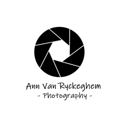 Afbeelding › Ann Van Ryckeghem
