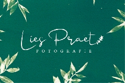 Afbeelding › Lies Praet