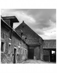 Afbeelding › Mauro